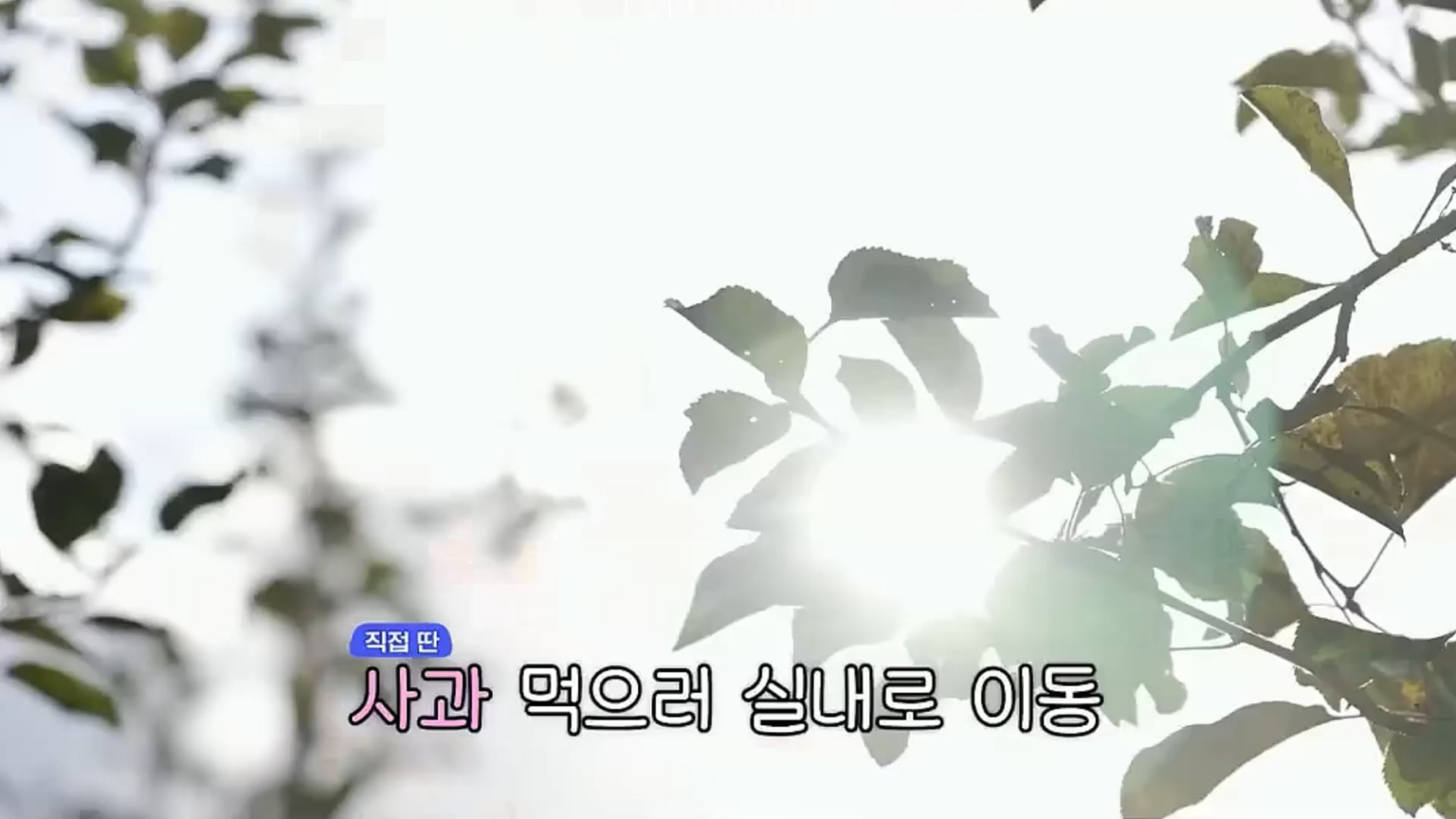 260110 كارينا @ Getaway and Go with Jangdobari الموسم 3 الحلقة 9 (أبرز اللقطات)