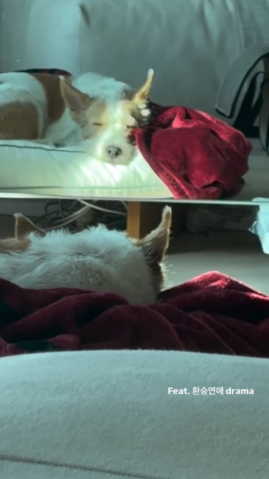 260201 تحديث قصة روزي على الانستغرام