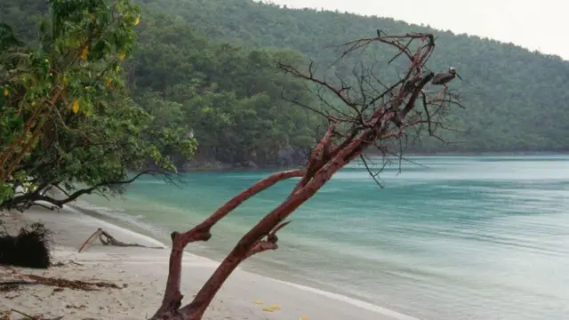 شاطئ مهجور على  جزيرة سانت جون، إحدى جُزر العذراء الأمريكية