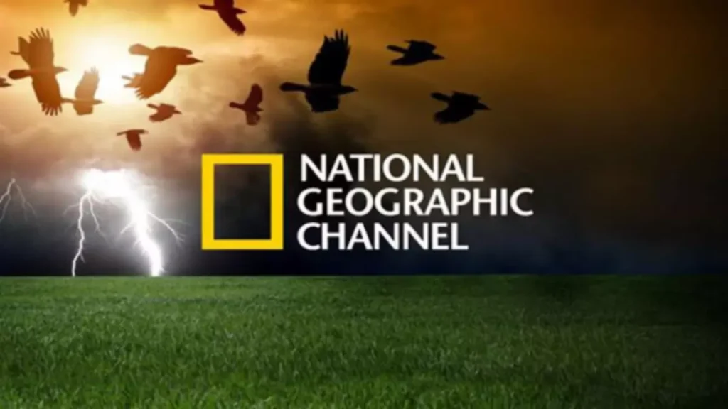 حصري: تردد قناة ناشيونال جيوغرافيك بالعربية 2026 بعد التحديث ودليل الضبط للاستمتاع بمغامرات عالم الحيوان! حصري: تردد قناة ناشيونال جيوغرافيك بالعربية 2026 بعد التحديث ودليل الضبط للاستمتاع بمغامرات عالم الحيوان!