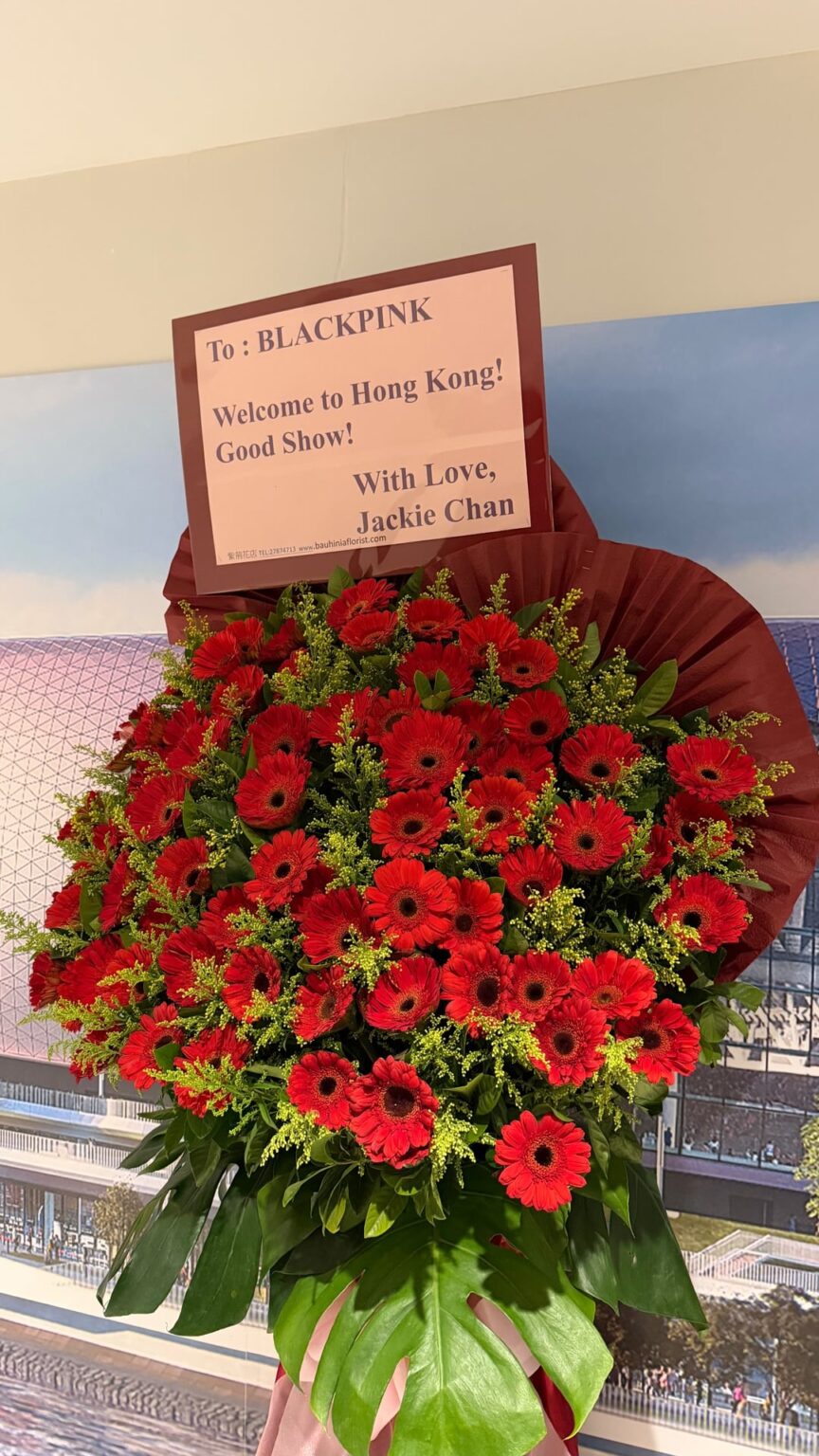 260125 تحديث قصة ليزا على IG