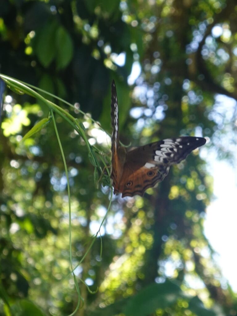 260116 تحديث دانييل على الانستغرام