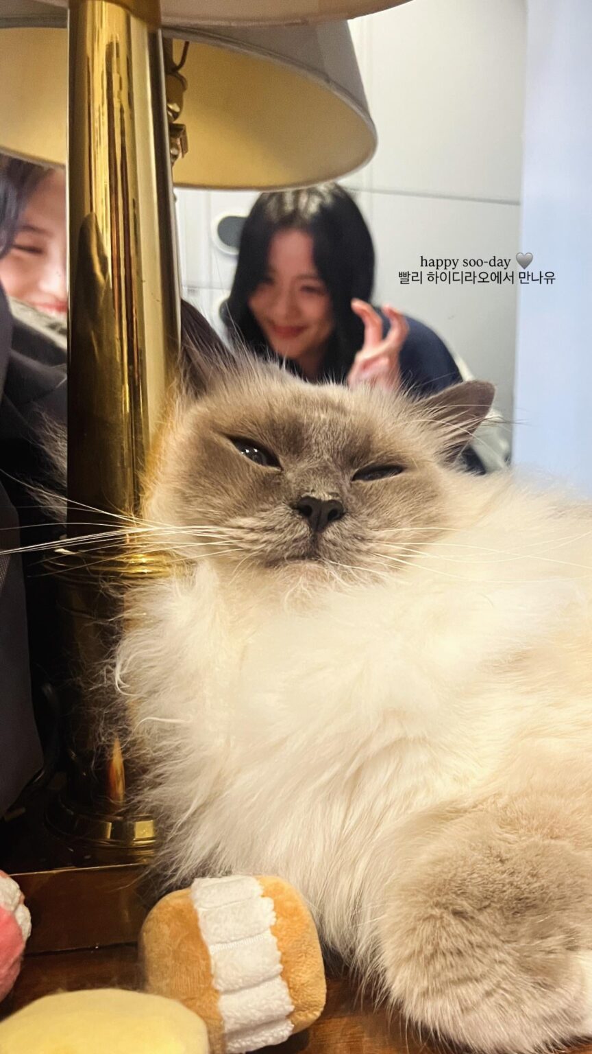 260103 تحديث قصة goshbecky على IG مع جيسو