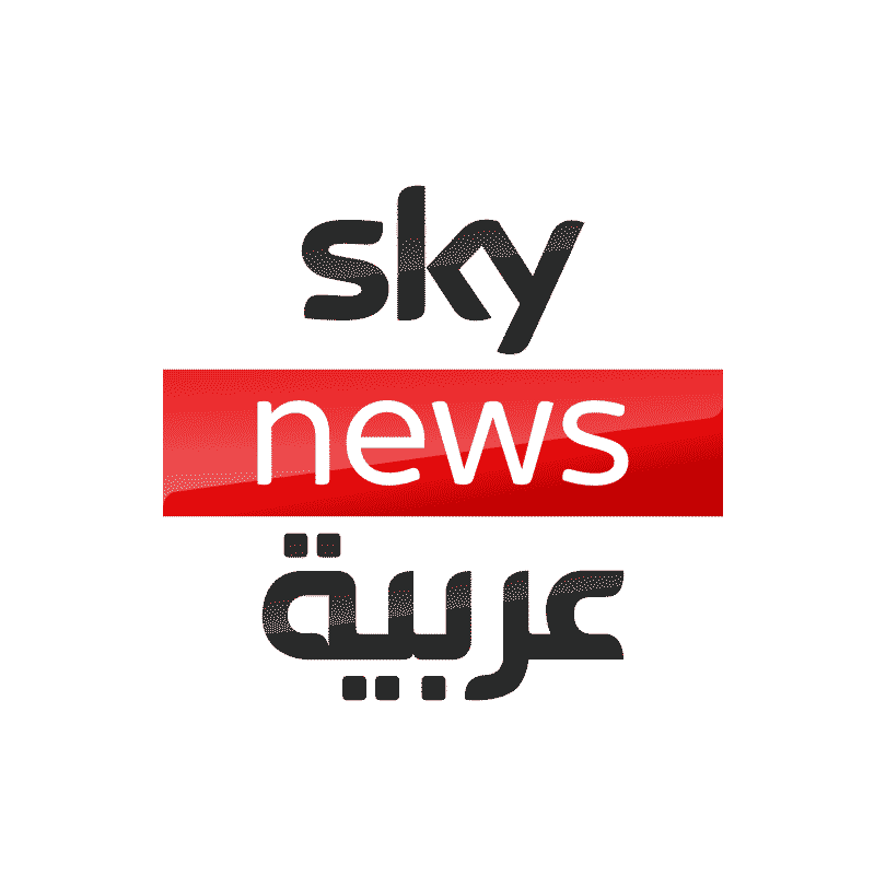 Skynews Logo