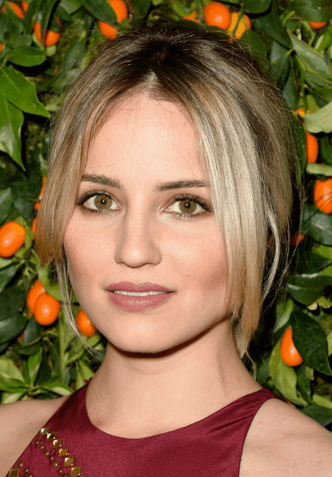 Dianna Agron