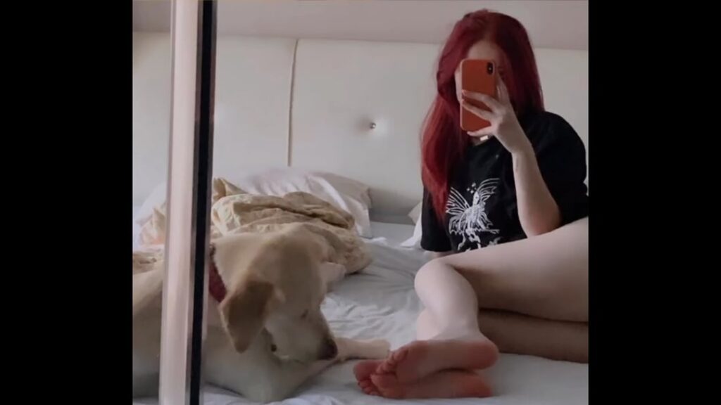 Doğa İzitaş - İlke Gülhan