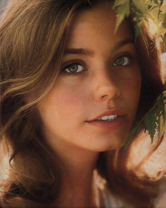 Susan Dey