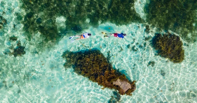 شخصان يمارسان الغطس في بحر تبدو مياهه شفافة للغاية  وصافية وبجوارهم شعب مرجانية.