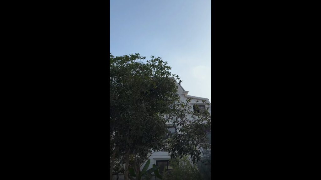 ✨😍 جمالٌ يلمعُ كالنجوم#lovebetweenlines #chenxingxu #luyuxiao #cdrama#轧戏 #iqiyi