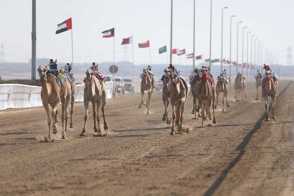 «ختامي الوثبة» يدشن النسخة الـ47 بمنافسات الحقايق