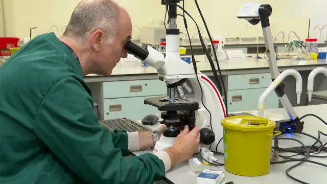 يظهر في الصورة رجل يرتدي معطف مختبر أخضر، يجلس على مقعد داخل مختبر وينظر عبر مجهر. وعلى سطح العمل أمامه أسلاك وأدوات مخبرية أخرى، بينها حاوية صفراء، فيما تظهر خزائن في الخلفية.