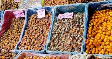 وزارة الزراعة تطرح البلح بأسعار تبدأ من 30 جنيها للكيلو فى معرض المتحف الزراعى