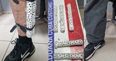 فى أنابيب ملتصقة بالجسد.. كوبا تعتقل شخص حاول تهريب 28 طائرا نادرا.. صور