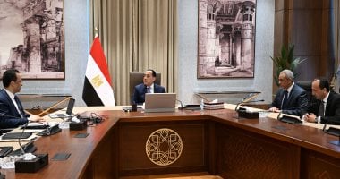 الحكومة: السوق المصرية تضم 10 علامات تجارية تصنع الهواتف المحمولة وملحقاتها