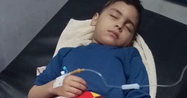 قطيع من الكلاب الضالة ينهشون جسد طفل فى دمنهور.. اعرف التفاصيل