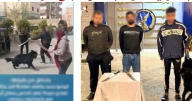 بعد فيديو مصففة الشعر وكلبها.. عقوبة رادعة لاستخدام الحيوانات فى الاعتداء