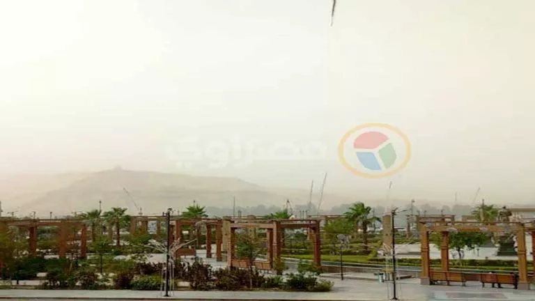 نصائح من مركز تغير المناخ للحفاظ على المحاصيل الزراعية نصائح من مركز تغير المناخ للحفاظ على المحاصيل الزراعية