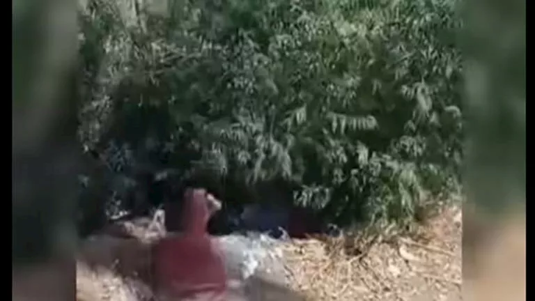 زوج سيدة ترعة دمنهور يكشف سبب عدم إنقاذها ويتهم شقيقه بالاعتداء زوج سيدة ترعة دمنهور يكشف سبب عدم إنقاذها ويتهم شقيقه بالاعتداء