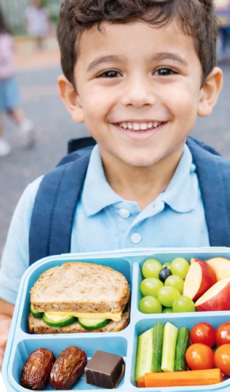 «لانش بوكس» أم خطر مختبئ في صندوق؟ – أخبار السعودية «لانش بوكس» أم خطر مختبئ في صندوق؟ - أخبار السعودية