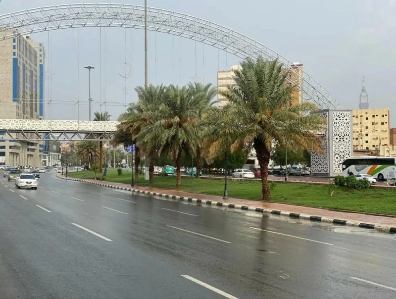 «الأرصاد»: أمطار متفرقة على 4 مناطق - أخبار السعودية