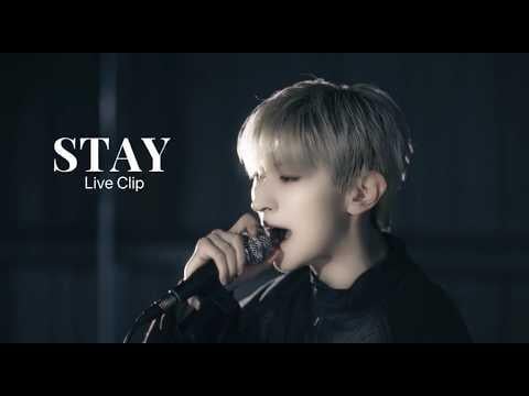 بليتزر سيا - ستاي (مقطع مباشر)