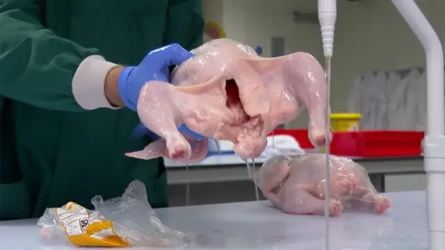 يظهر في الصورة شخص يرتدي قفازات طبية زرقاء يمسك دجاجة كاملة نيّئة تحت صنبور ماء جارٍ داخل مختبر، فيما تظهر دجاجة نيّئة أخرى مغلّفة موضوعة على الجانب، ومعاطف مختبر معلّقة في الخلفية.