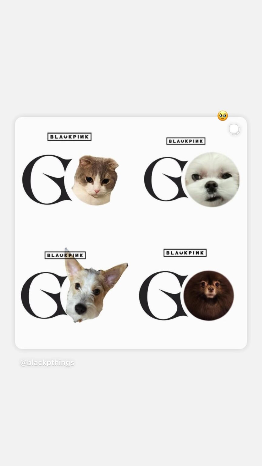 260228 تحديث قصة روزي على الانستغرام