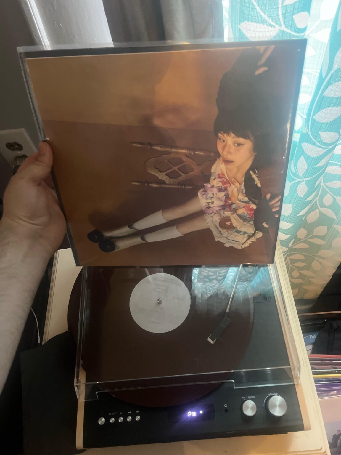 أحب أن أضع الملصقات في الجزء الخلفي من غلاف الفينيل الخاص بي