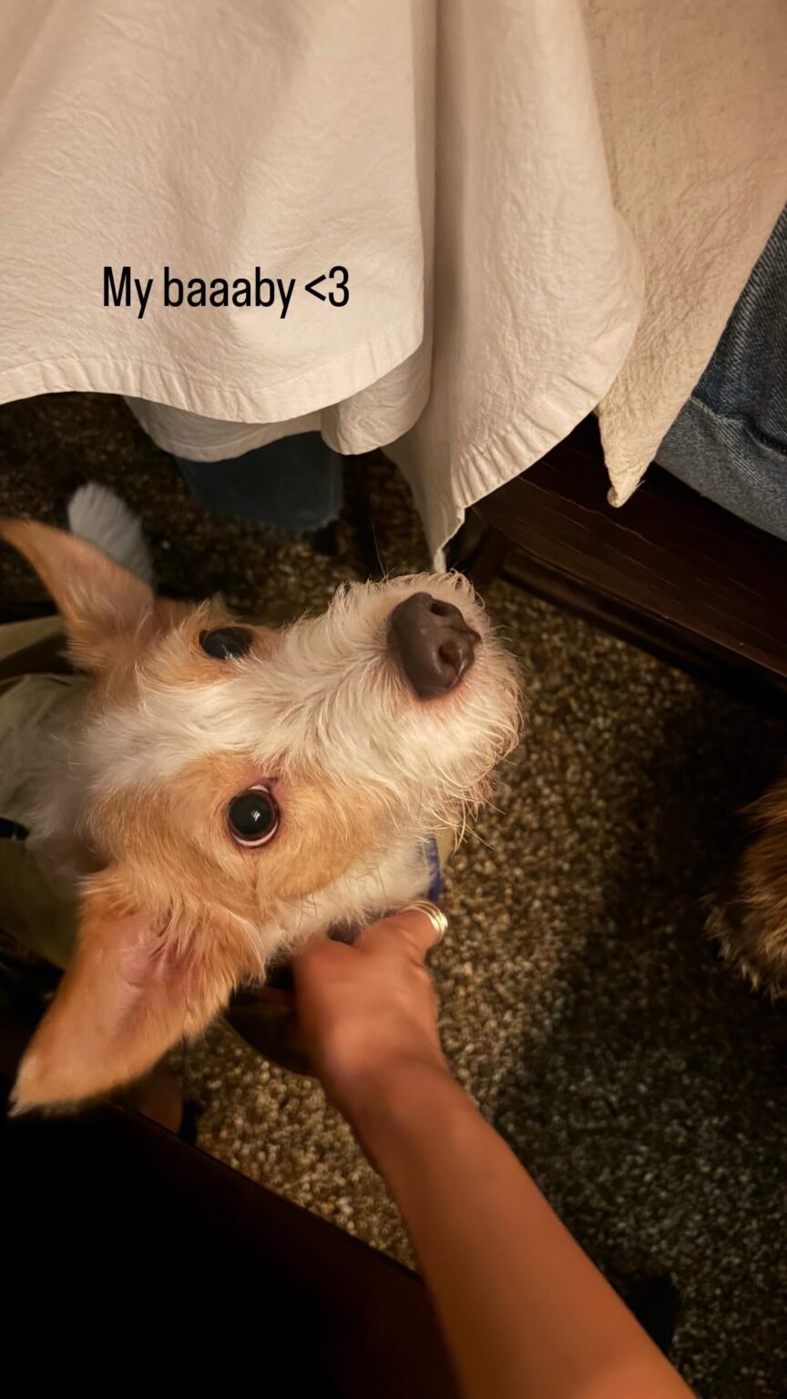 260211 تحديث قصة روزي على الانستغرام