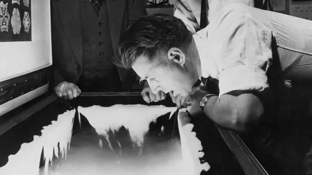 فينسنت شيفر