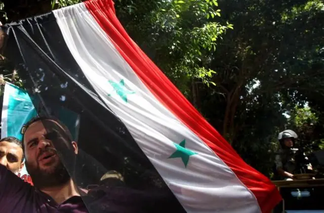 سوري يحمل علم بلاده في مصر خلال مظاهرة ضد النظام السوري عام 2012