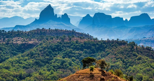 قمم جبال سيمين بإثيوبيا، تكسوها أشجار خضراء، وتبدو السماء زرقاء وشديدة الصفاء.