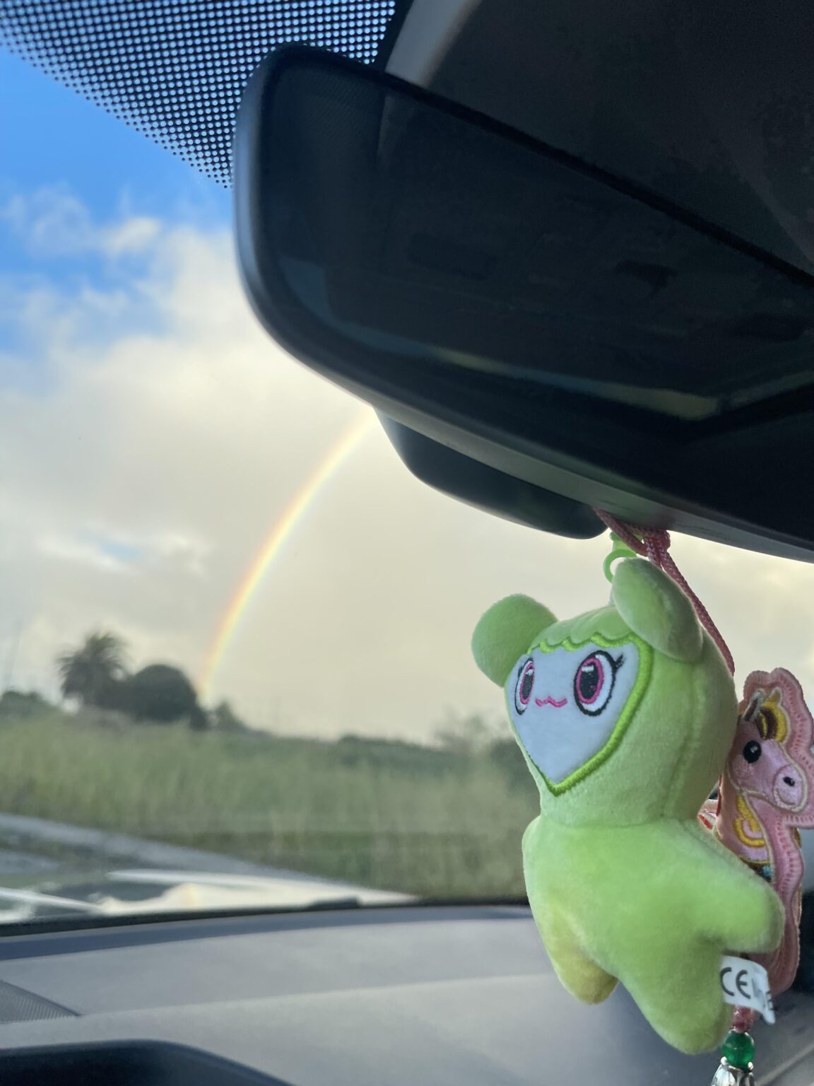 جونغيون وقوس قزح