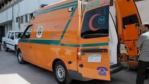 ضبط زوج طعن زوجته أمام مقر عملها لخلافات على خطبة ابنتهما بالشرقية