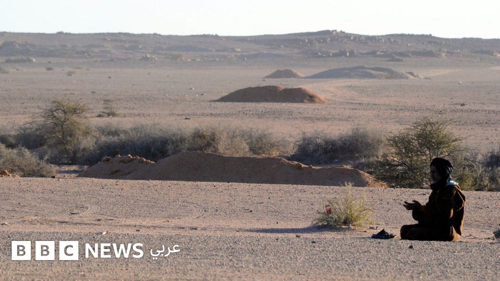 الصحراء الغربية: اجتماع في مدريد لبحث تطبيق قرار مجلس الأمن رقم 2797، فما القصة؟