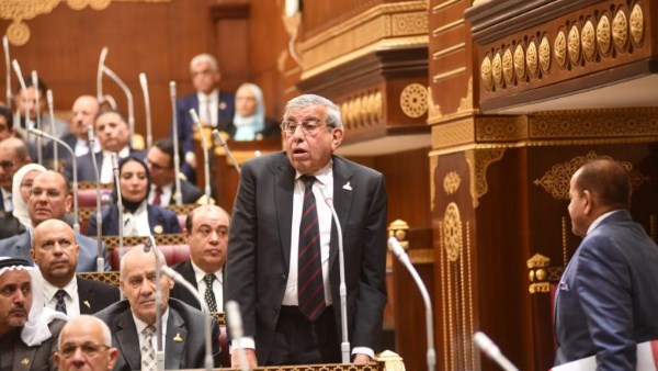 حقيقة طلب برلماني بفرض 30 جنيها رسومًا على فواتير الكهرباء لمواجهة الكلاب الضالة