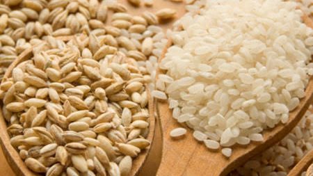 قيمة زكاة الفطر 2026 وموعد إخراجها.. الإفتاء تحدد الفئات غير الملزمة