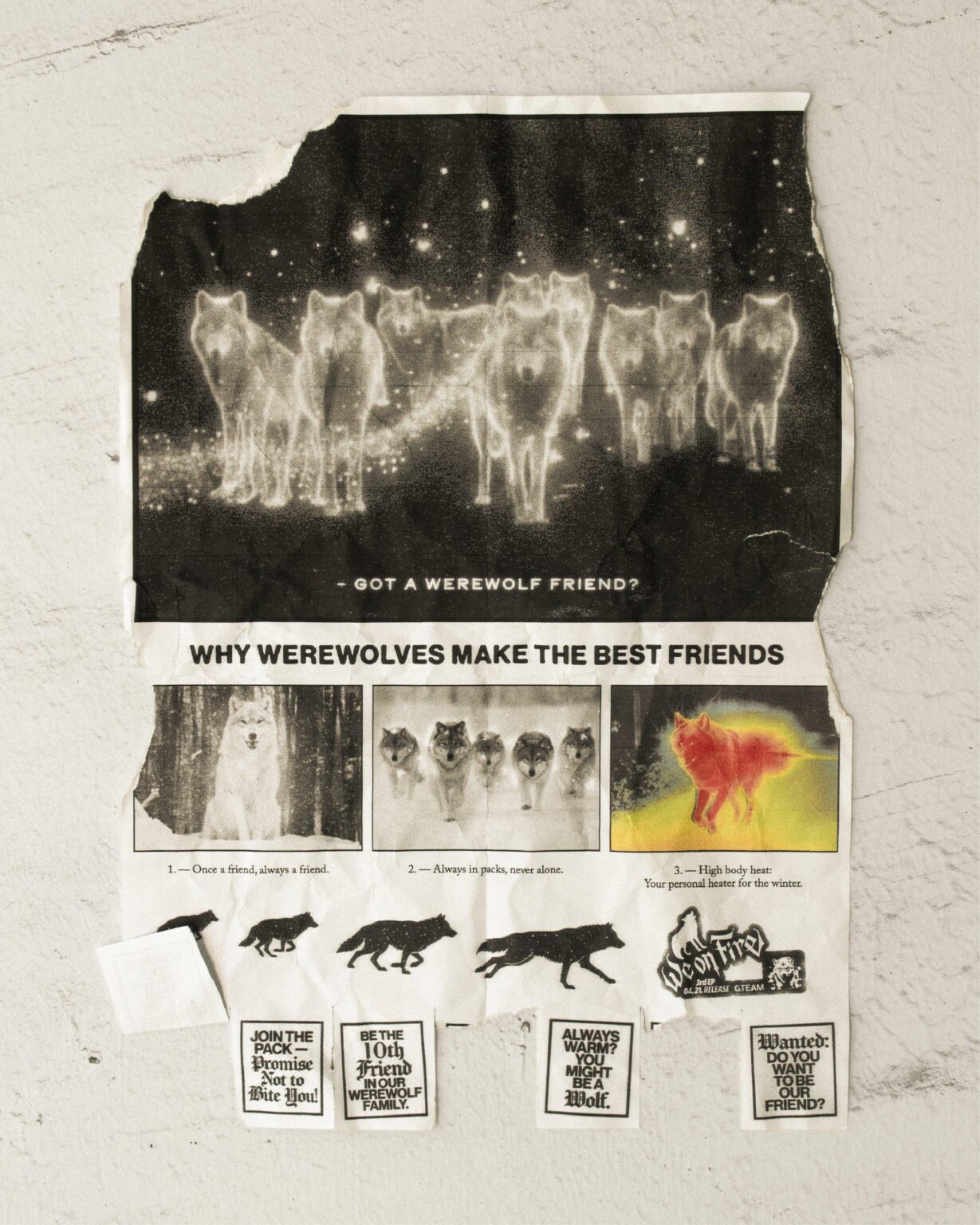&TEAM – Werewolf (صورة تشويقية – هل لديك صديق بالذئب؟ لماذا يكون المستذئبون أفضل الأصدقاء)