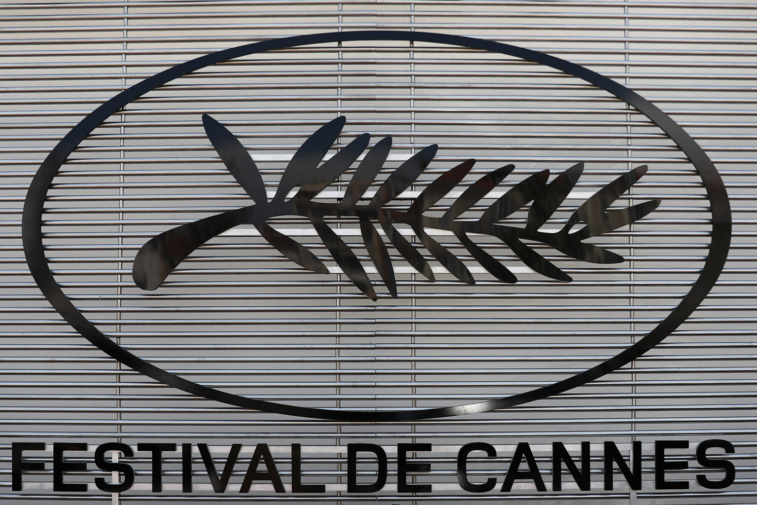 من شتاء أوروبا لخريف الأوسكار: أجندة مهرجانات السينما في 2026 | فن