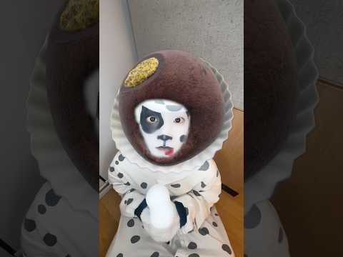 260206 يوكي! هل يجب أن نذهب للنزهة؟!🐶