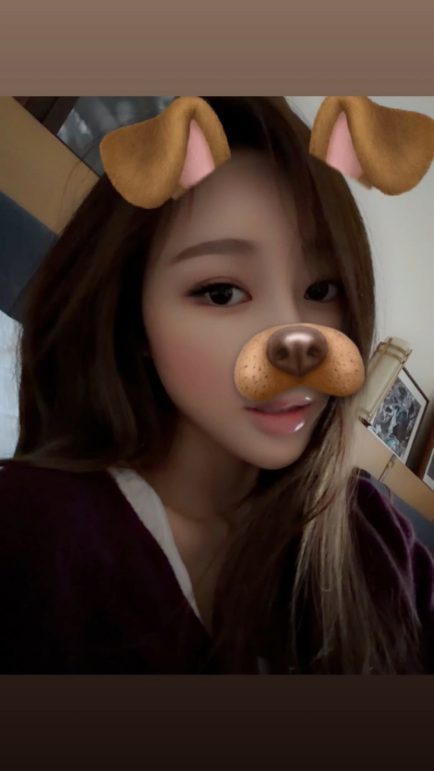 260203 تحديث قصة جيزيل على الانستقرام