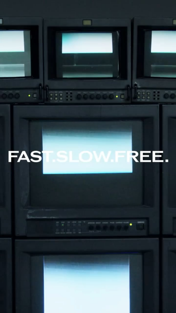 260211 ليزا لشيسيدو