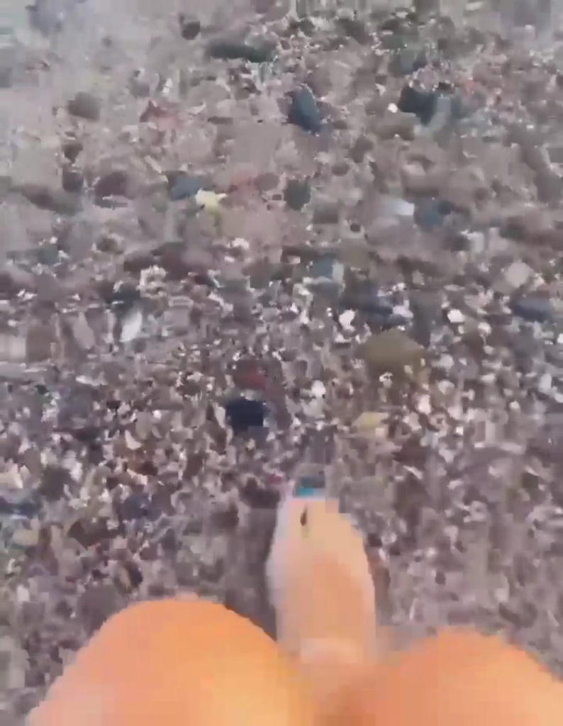 Damla Sönmez Damla Sönmez