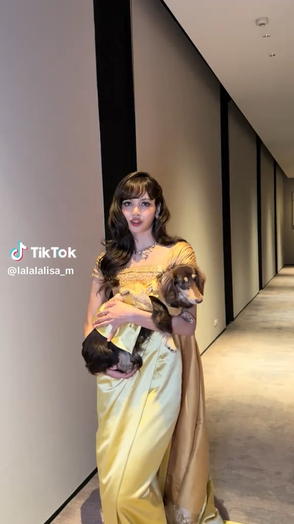 260201 تحديث ليسا على التيك توك