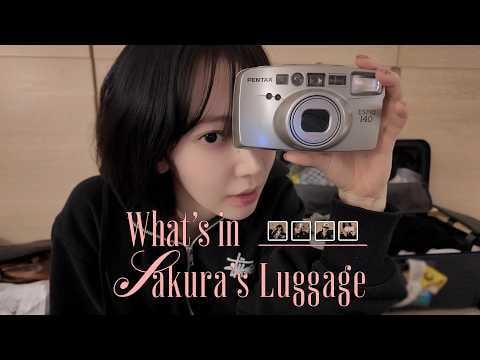 260208 مياواكي ساكورا - جمعية Overpacker: ساكورا هي شركة تعبئة زائدة رسميًا 🙅‍♀️ | Kkura's ماذا يوجد في أمتعتي 🧳