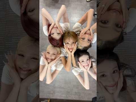 260205 الأول على MCD 🥹 إهداء عناق زهرة مونو إلى Neverver 💐