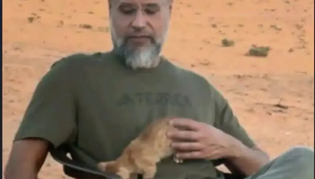 'تبحث عنه'… قطة سيف الإسلام القذافي تشعل التعاطف