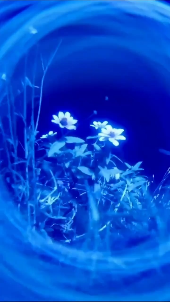 260214 تحديث جيسو على التيك توك