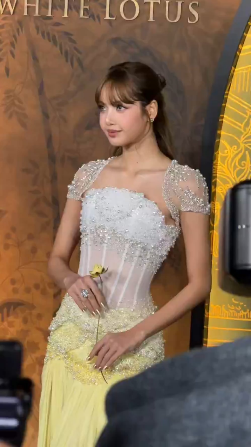 ليزا رائعتين