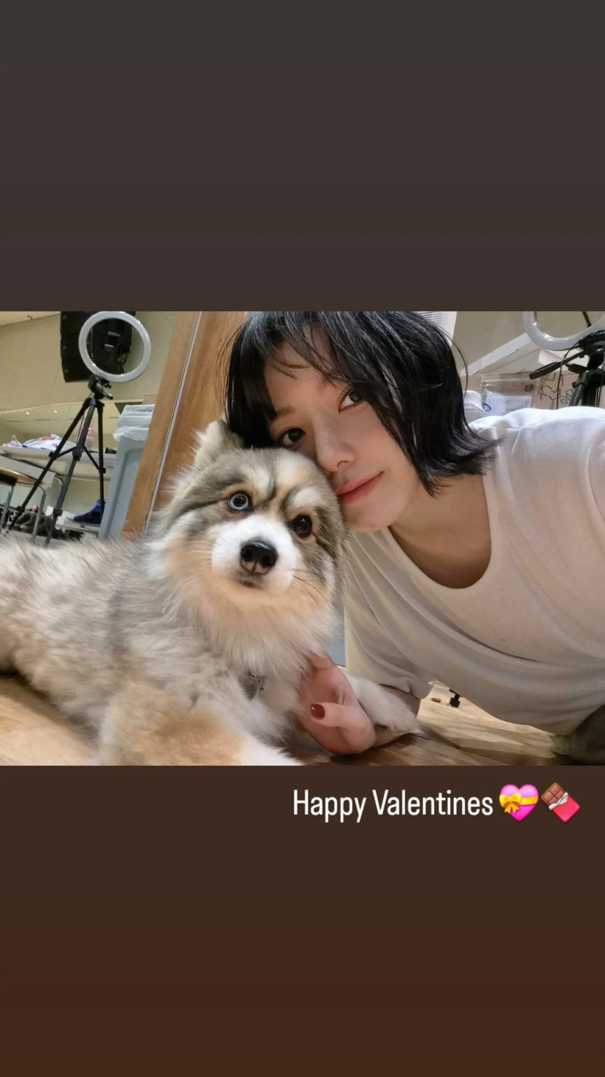 260214 تحديث قصة مياواكي ساكورا على الانستقرام